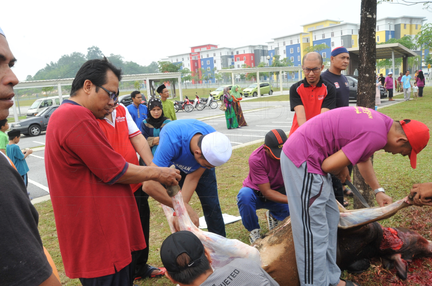 PRO15 150 KORBAN HAS 6813